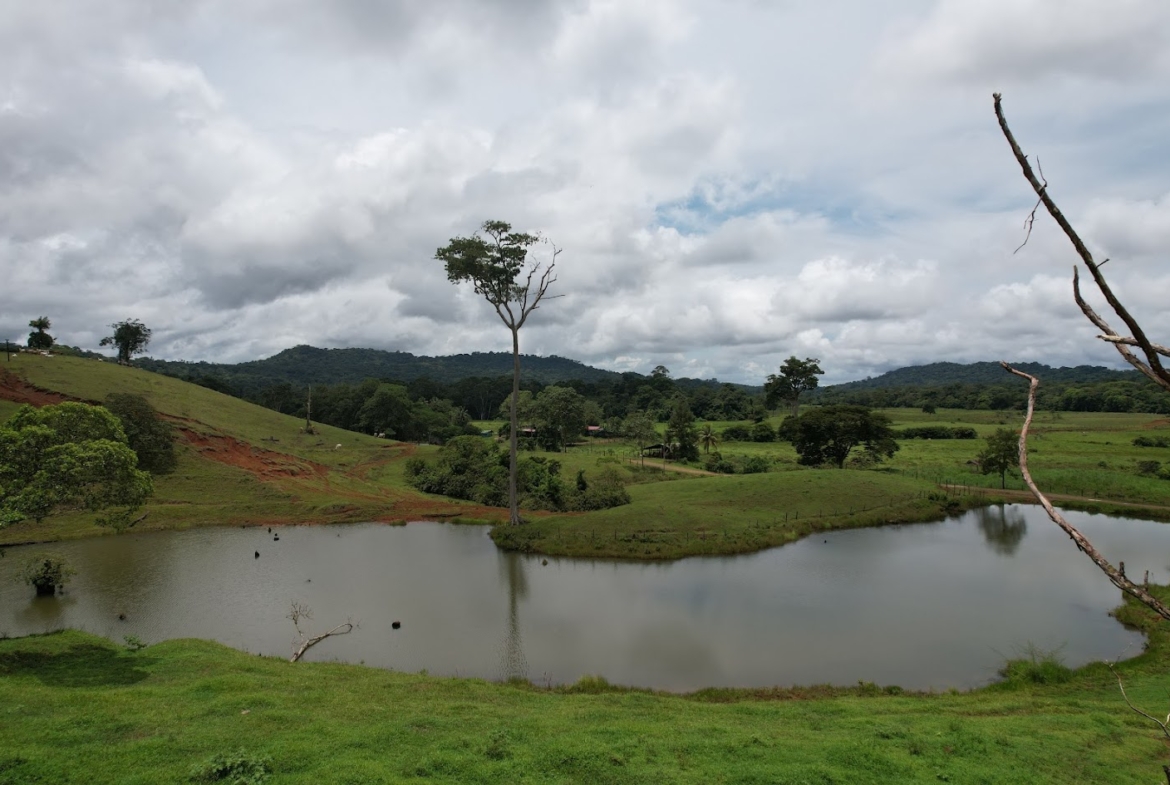 Fincas de Costa Rica